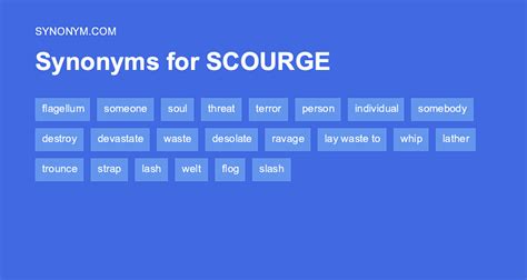 another word for scourge.